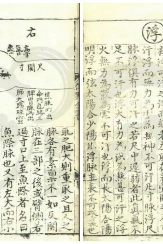 中药配方颗粒生产工艺技术（完整版）