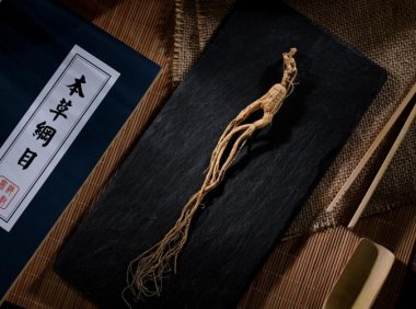 品味参茸之美,感悟人生之道–中仁药业